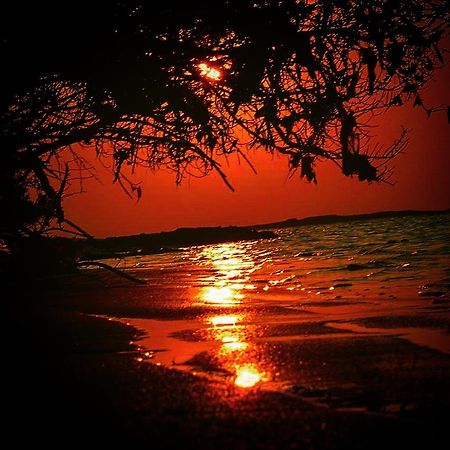 Fulhadhoo Inn Buitenkant foto